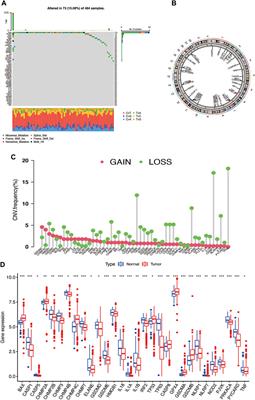 Identification of Pyroptosis-Related Gene Signatures and Construction of the Risk Model to Predict BCR in Prostate Cancer